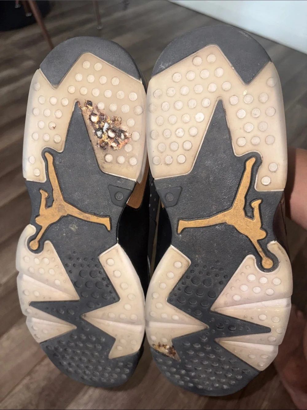 Jordan 6 DMP